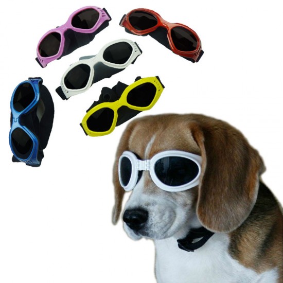 Γυαλιά ηλίου για σκύλους