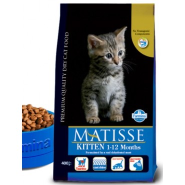 Matisse kitten 10kg